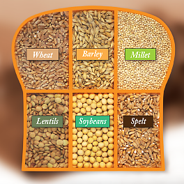 Ezekial 4:9 Sprouted Grain Bread