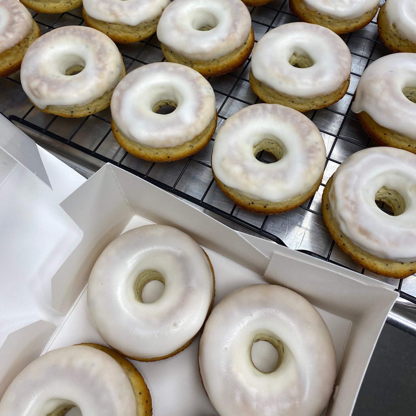 Lemon Poppyseed Donuts (Gluten Free & Sugar Free)