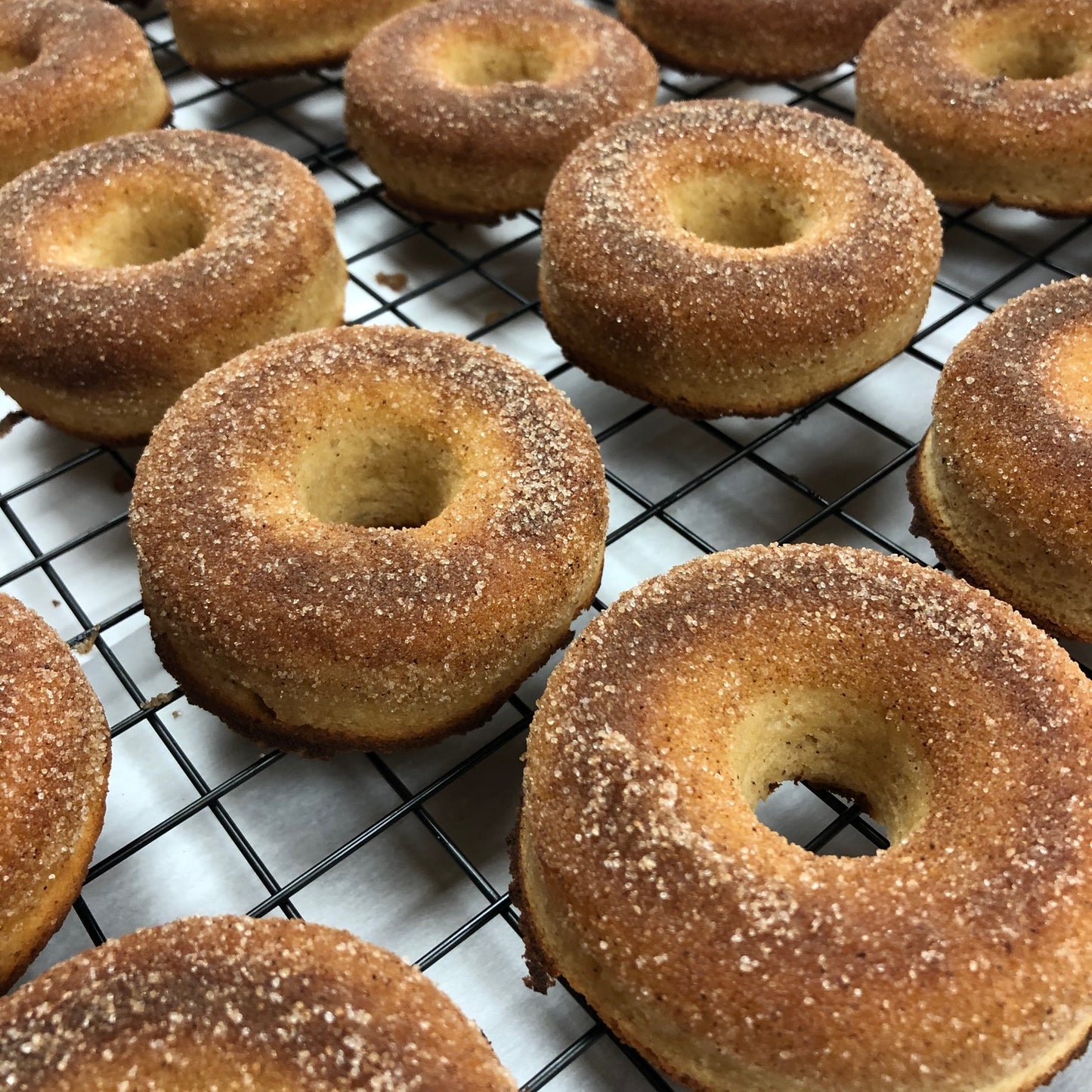 Cinnamon Sugar Donuts (Pre-Order)