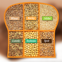 Ezekial 4:9 Sprouted Grain Bread