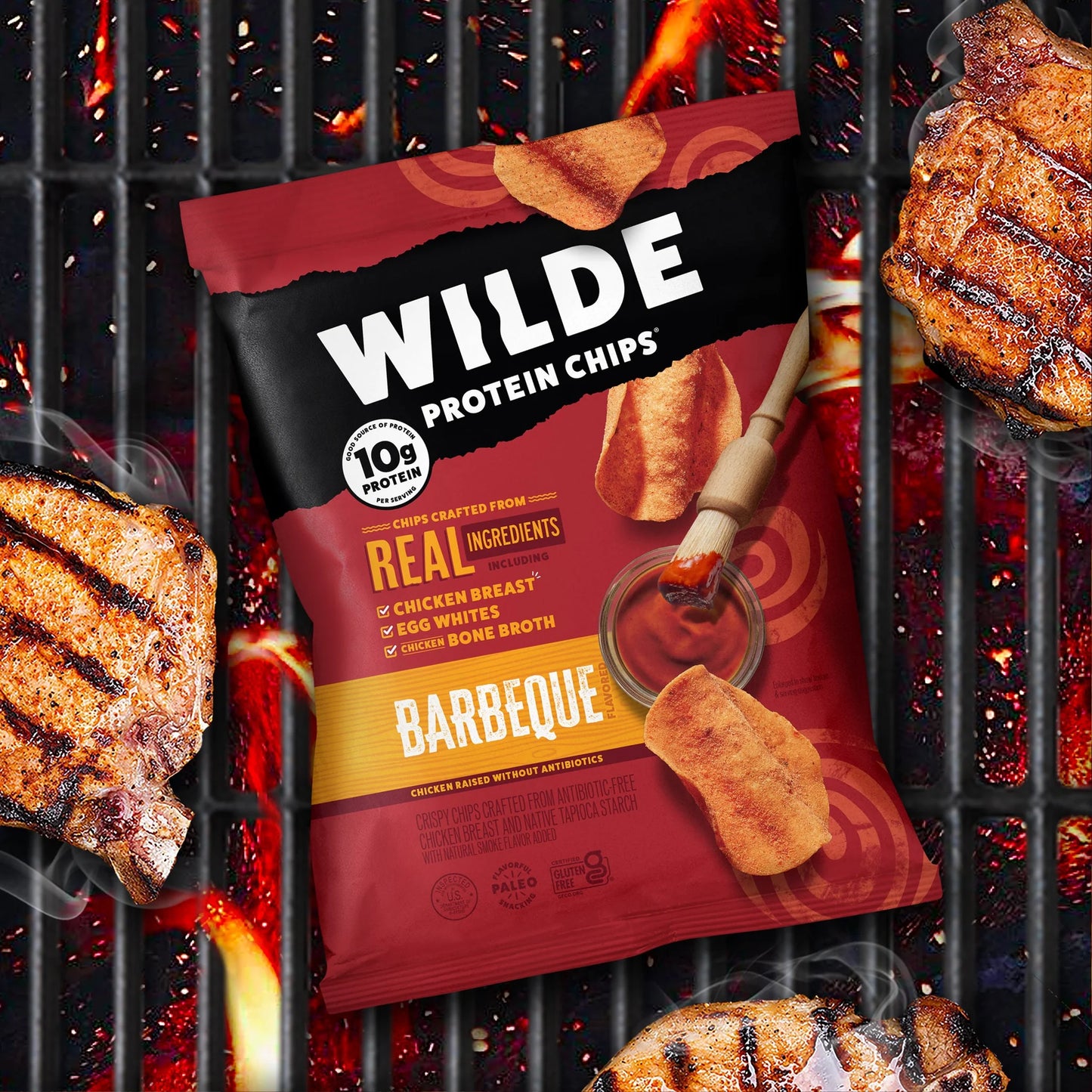 Chicken Protein Chips